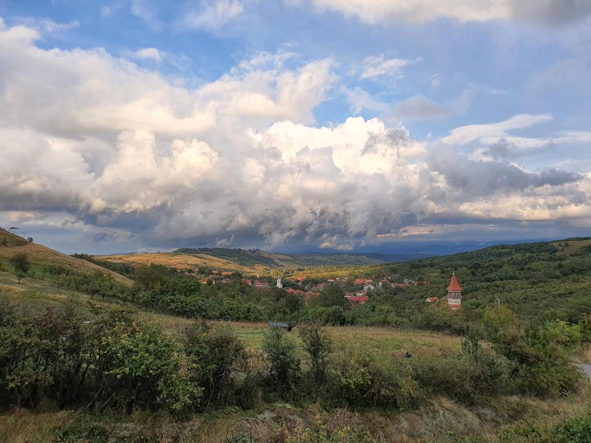 Motel Prislop Haţeg Εξωτερικό φωτογραφία