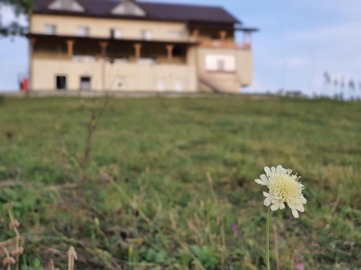 Motel Prislop Haţeg Εξωτερικό φωτογραφία
