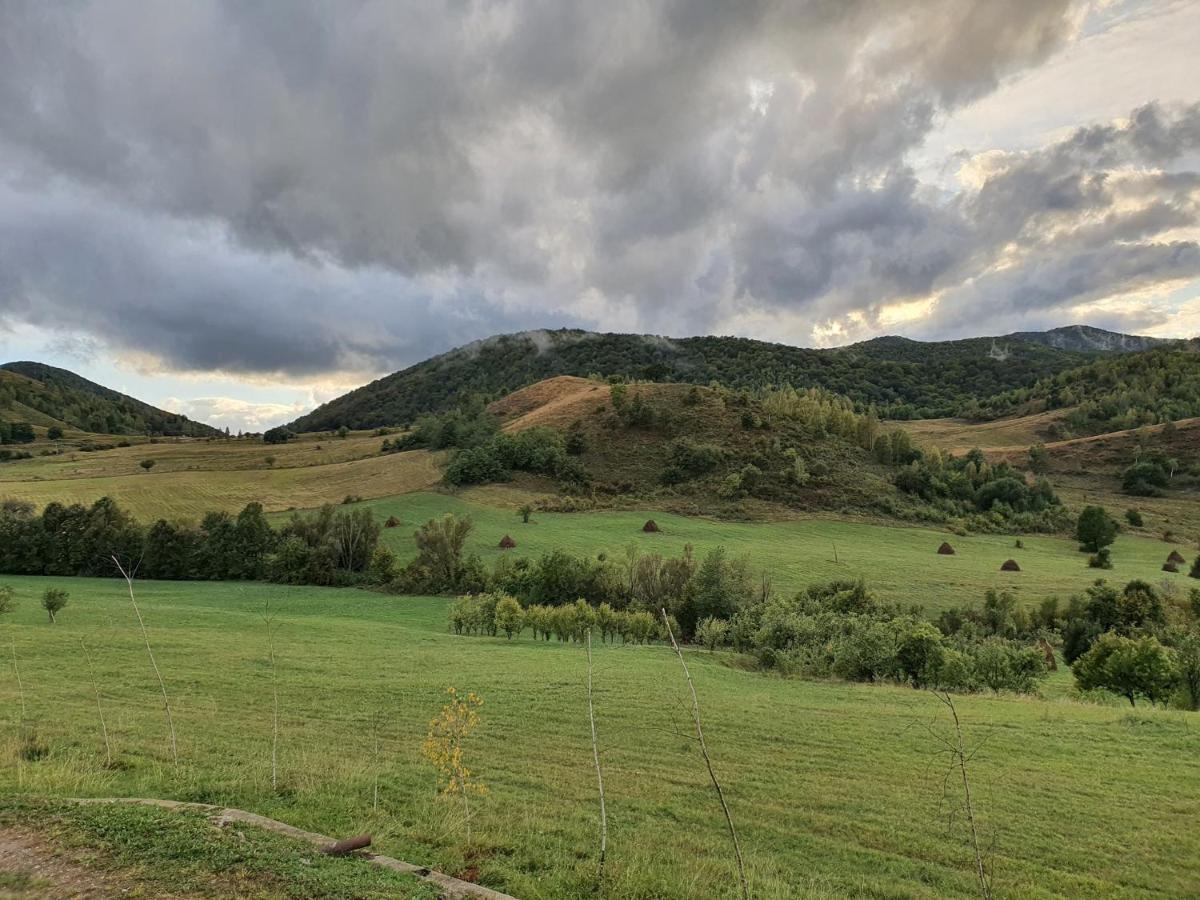 Motel Prislop Haţeg Εξωτερικό φωτογραφία